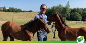 Lire la suite à propos de l’article « Le bien-être de mes chevaux s&rsquo;est nettement amélioré depuis que j&rsquo;utilise les engrais DROUIN pour fertiliser mes prairies »
