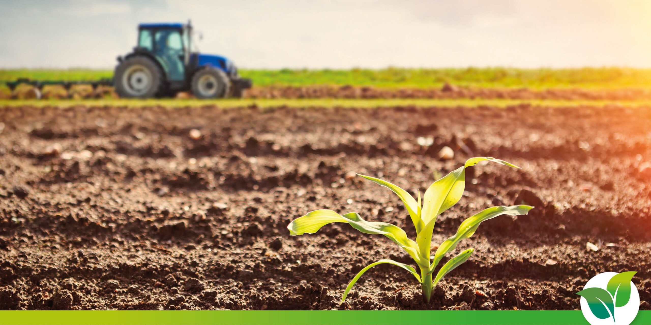 You are currently viewing Réussir l’implantation de vos céréales à paille en automne